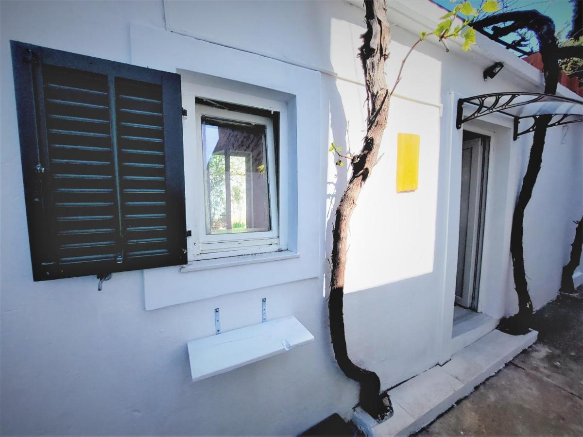 Studio Apartment Murter Center מראה חיצוני תמונה